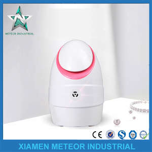 Best Family Use Portable Table Top Anion Facial Steamer